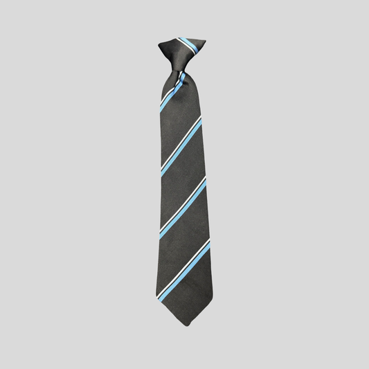 Horbury Academy Tie Blue